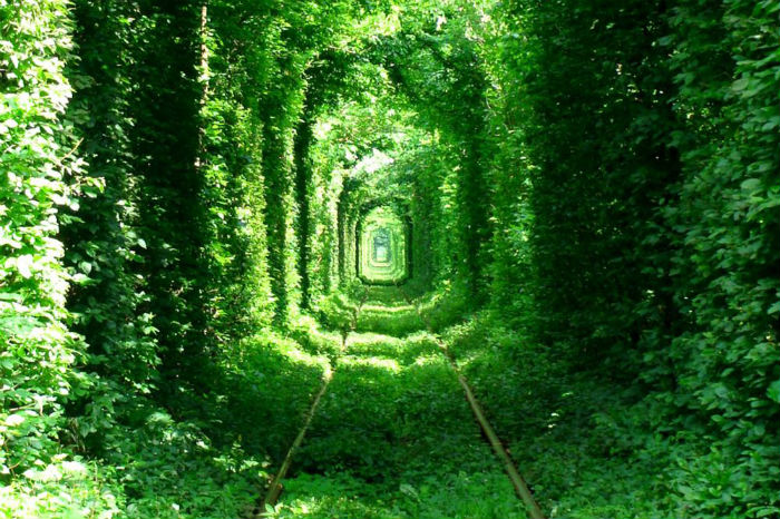 'The Tunnel of Love’ – Ukraine